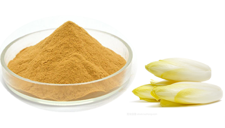 菊苣粉可定制斯诺特生物菊苣提取物