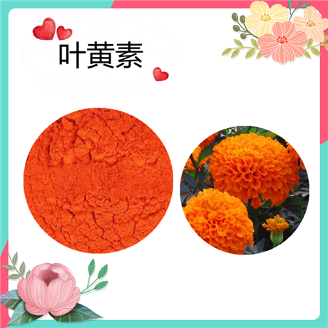 叶黄素5% 饲料级 万寿菊提取物 叶黄素酯   水溶  斯诺特生物