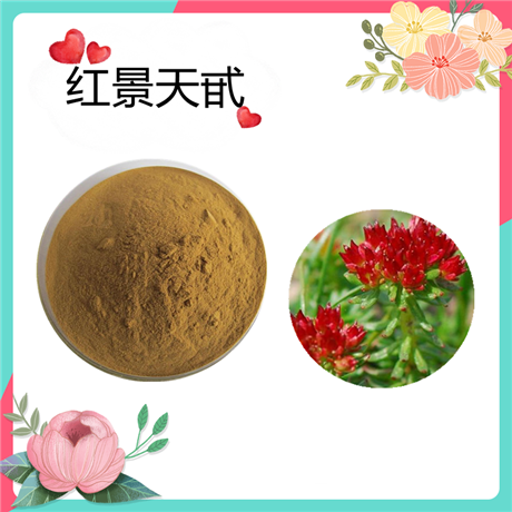 红景天甙3%  红景天提取物 棕色粉末 支持定制 水溶 斯诺特生物