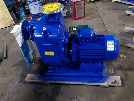 博禹泵业 无堵塞排污泵 自吸排污泵 自吸污水泵定制