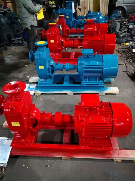 博禹泵业 无堵塞排污泵 ZW型自吸排污泵 自吸排污泵定制