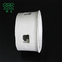 陶瓷阶梯环 散堆填料 传质效率高 化工冶金使用 群星供应