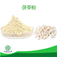 茯苓粉 可定制 斯诺特生物 药食同源茯苓提取物 SC认证厂
