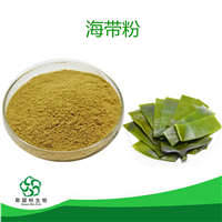 海带粉 海带提取物 褐藻素 岩藻黄质 20%可定制 斯诺特生物