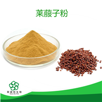 莱菔子粉 可定制 斯诺特生物 莱菔子提取物80目 100目