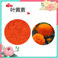 叶黄素5% 饲料级 万寿菊提取物 叶黄素酯   水溶  斯诺特生物