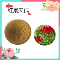 红景天甙3%  红景天提取物 棕色粉末 支持定制 水溶 斯诺特生物
