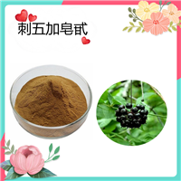 刺五加皂甙1.5%   刺五加提取物 水溶 可定制 斯诺特生物