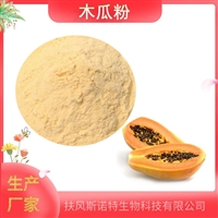 木瓜粉 99%供应木瓜提取物速溶果粉生产  资质齐全