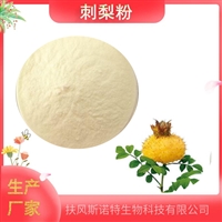 刺梨果汁粉99% 刺梨提取物 浓缩粉 水溶果粉  资质齐全