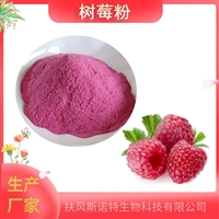 树莓粉   99%供应树莓提取物速溶果粉  斯诺特生物  水溶好