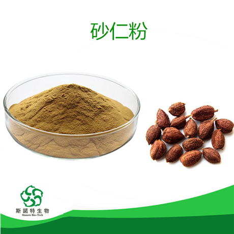 砂仁粉  砂仁提取物10:1 水溶  浓缩粉  SC证  斯诺特生物