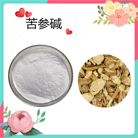 苦参碱 98% 苦参总碱  氧化苦参碱 苦参提取物   可定制   斯诺特生物