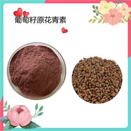 葡萄籽原花青素95%  水溶 40% 原花青素 SC备案   可定制