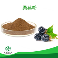 桑葚粉 可定制 斯诺特生物 桑葚提取物