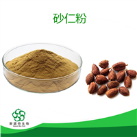 砂仁粉  砂仁提取物10:1 水溶  浓缩粉  SC证  斯诺特生物