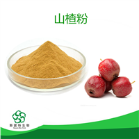 山楂粉 99%供应山楂提取物  速溶果粉  外检报告 价优物美