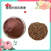 葡萄籽原花青素95%  水溶 40% 原花青素 SC备案   可定制