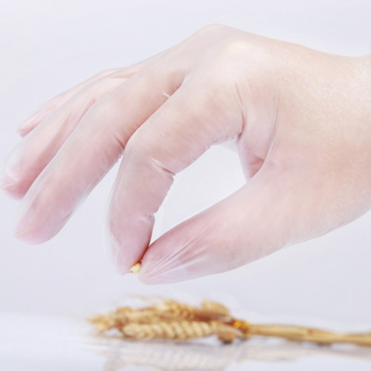 东贝一次性pvc检查手套供应 医用手套生产厂家