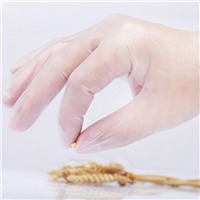 东贝一次性pvc检查手套供应 医用手套生产厂家