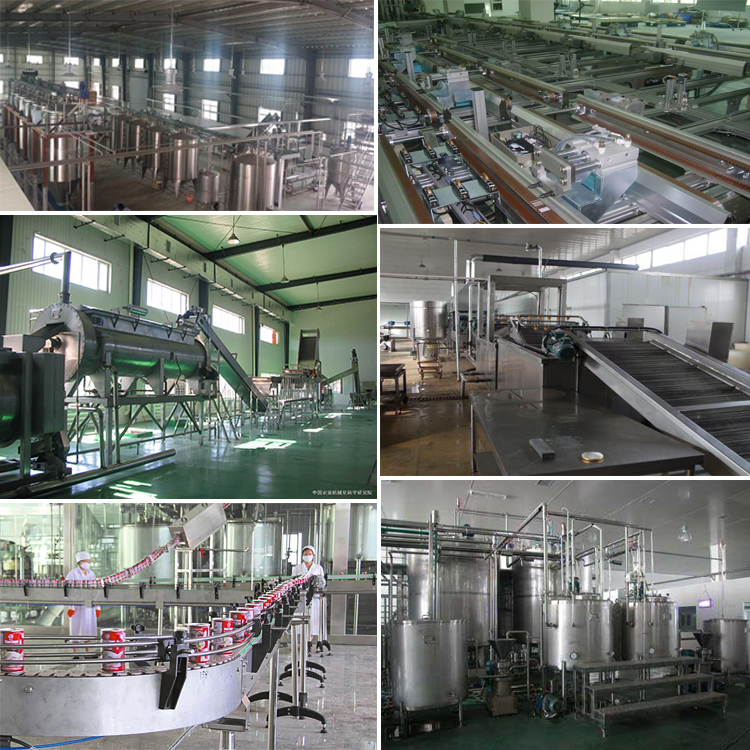 550ml弥猴桃醋果醋生产线 zyl-gcsb弥猴桃醋饮料加工设备