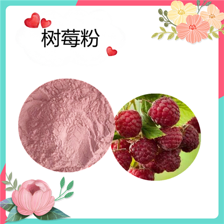 树莓粉  99% 树莓提取物  水溶     可定制    斯诺特生物