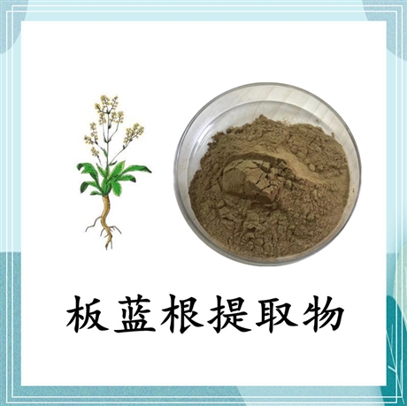 板蓝根提取物 10:1 水溶性板蓝根粉 中药粉 斯诺特 水溶