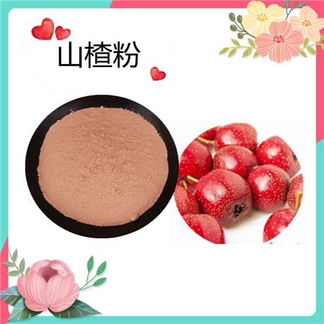 山楂粉   水溶 山楂提取物 SC生产商    可定制  斯诺特生物