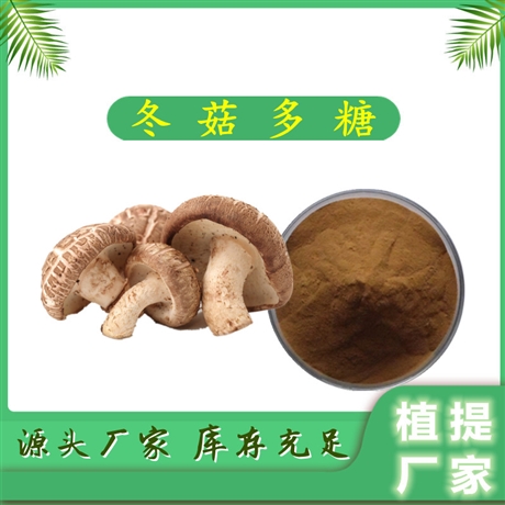 冬菇多糖 植提  10:1 可定制  免费拿样 斯诺特