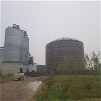 螺旋咬口式卷板仓  焦炭储存钢板仓施工预算 国华钢板仓