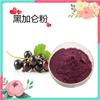 黑加仑粉黑加仑花青素25% 水溶性提取物 黑豆果提取物    斯诺特生物