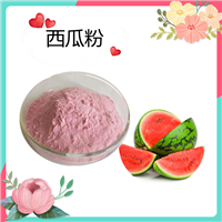 西瓜粉 西瓜果粉 水溶性粉末   水瓜提取物 规格可定制斯诺特生物
