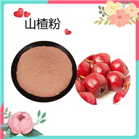 山楂粉   水溶 山楂提取物 SC生产商    可定制  斯诺特生物