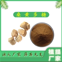 桑黄多糖  植提  10:1 可定制  免费拿样 斯诺特