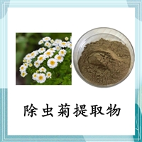 除虫菊提取物 10:1  除虫菊酯  棕色粉末斯诺特 可定制