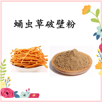扶風(fēng)斯諾特  蛹蟲草破壁粉  水溶 可定制