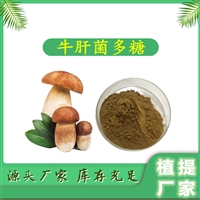 牛肝菌多糖 植提  10:1 可定制  免费拿样 斯诺特