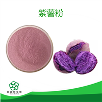 紫薯粉 99%供应紫薯提取物速溶粉 脱水紫薯粉 斯诺特生物