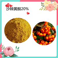 沙棘黄酮20%   沙棘提取物 各种规格可定制 水溶粉末 可定制