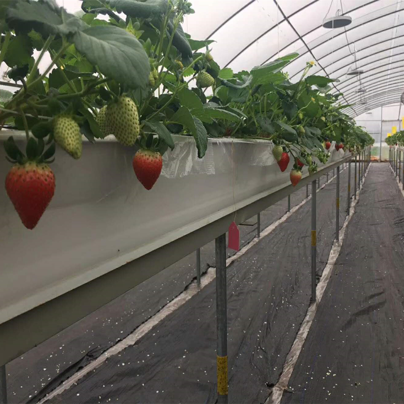 草莓种植槽 大棚立体栽培槽 草莓立体种植架