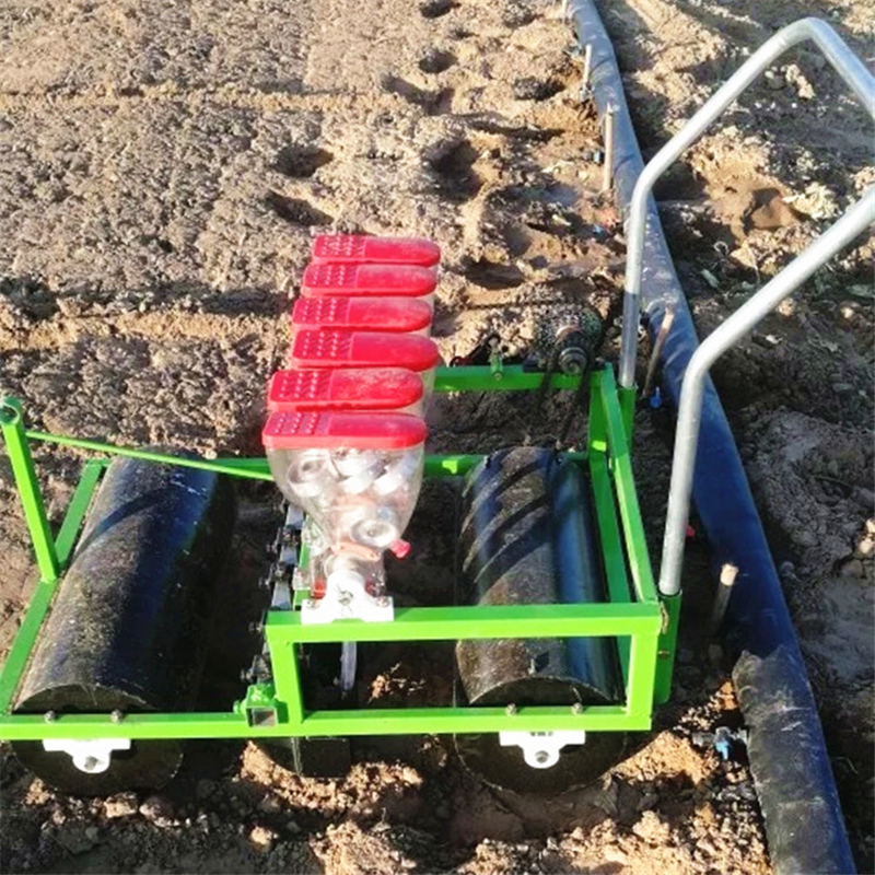 广东广西菜心播种机小青菜单粒精播机节省人工免间苗种植机