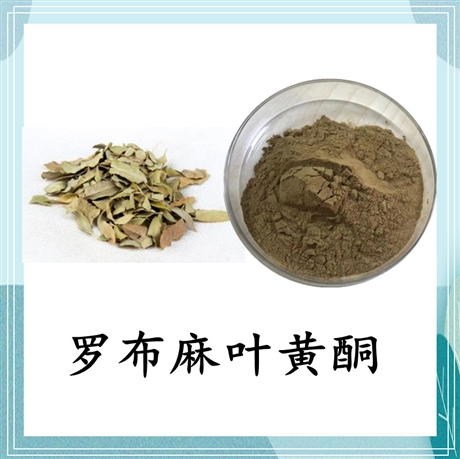 罗布麻提取物 Apocynum venetum 8%黄酮 斯诺特 可定制
