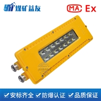 铝锭压铸DGS24/127L(A)矿用隔爆型LED巷道灯
