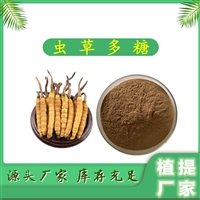 虫草多糖  虫草提取物 多规格   10:1 可定制  免费拿样 斯诺特