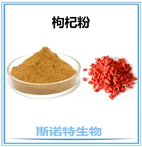 枸杞粉 枸杞提取物10：1 水溶 多糖 浓缩粉 规格可定制 100目粉末