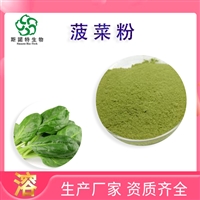 菠菜粉 99% 水溶食品饮料 喷雾干燥蔬菜粉 菠菜汁粉   斯诺特生物