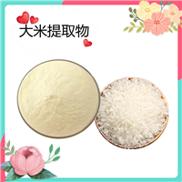 大米提取物   大米低聚肽 蛋白肽98% 食品级水溶 可定制斯诺特生物