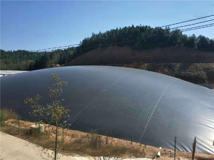 城建标土工膜 沼气池防渗土工膜生产施工