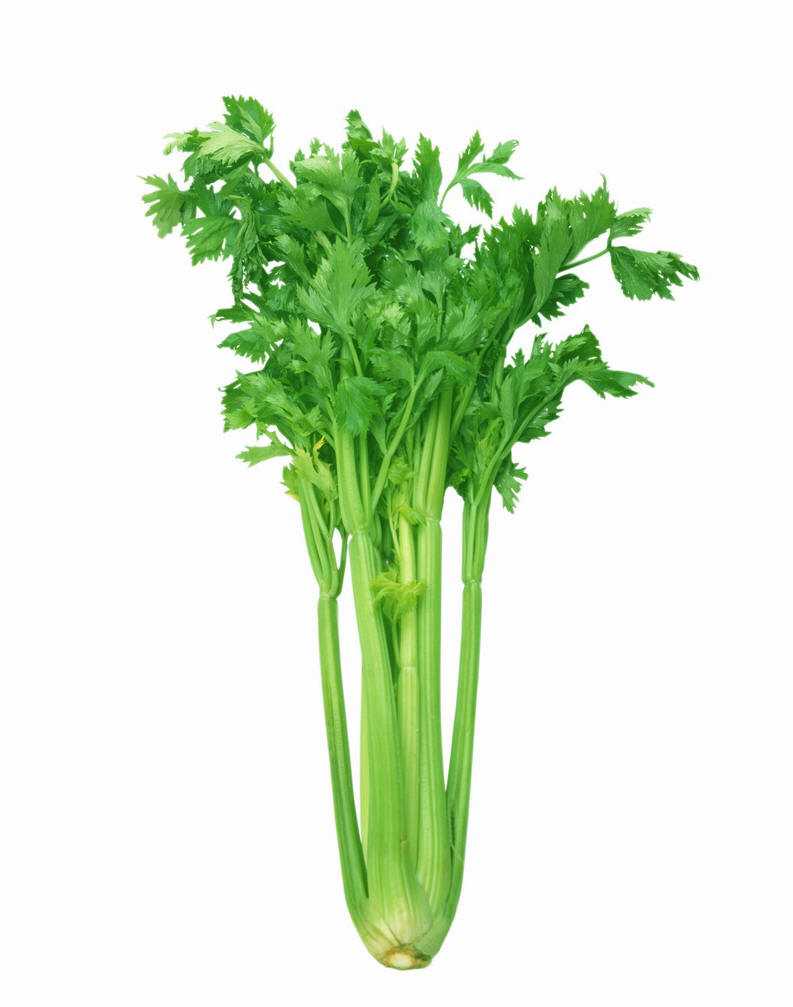 进口西芹玉米须复合片流程