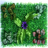 室内绿植墙面 植物景观墙 金森